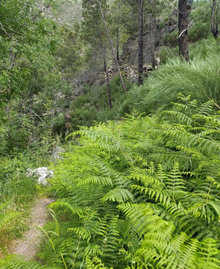 Abrigo Do Cabecinho - Serra Da Estrela Cortes do Meio Ngoại thất bức ảnh